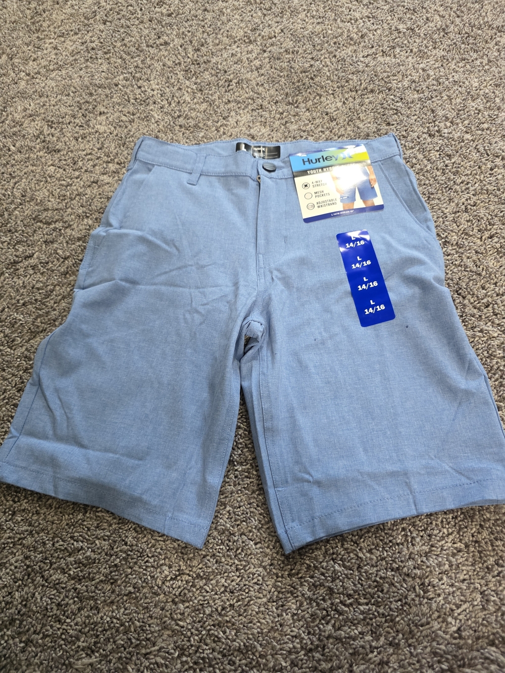 Hurley Kid's Light Blue Casual Flat-Front Shorts